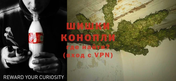 шишки Бородино