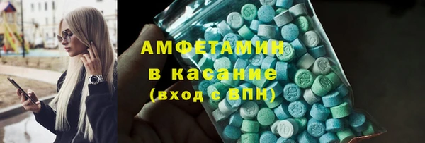 шишки Бородино