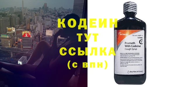 шишки Бородино