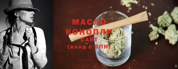 шишки Бородино