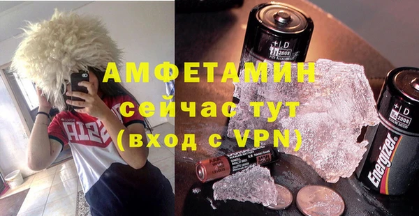 шишки Бородино