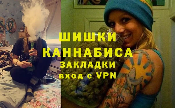 молекула духа Бронницы