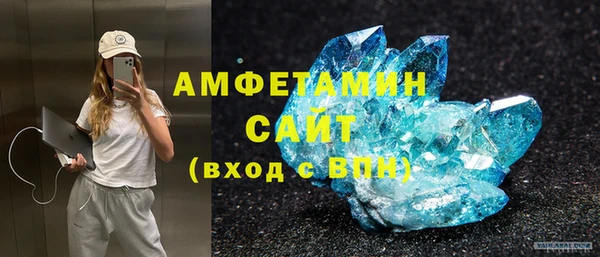 шишки Бородино