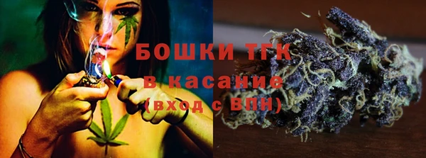 шишки Бородино
