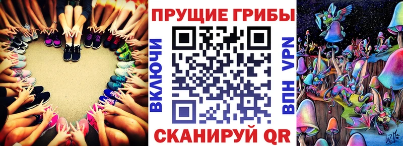 hydra   Мезень  Галлюциногенные грибы Cubensis  сколько стоит 
