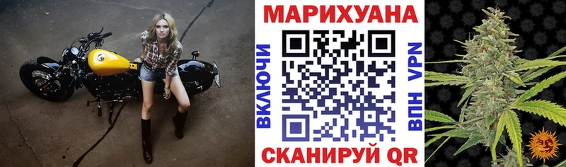 Каннабис ГИДРОПОН  как найти   Мезень 